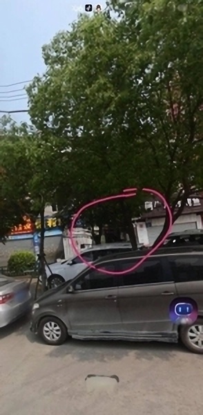 国艺花鸟市场对面，阿牛烧烤旁边